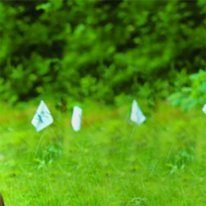 DogWatch vlaggen voor onze onzichtbare DogWatch omheining