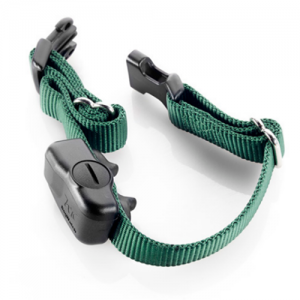 Gentlefit voor onze onzichtbare DogWatch omheining