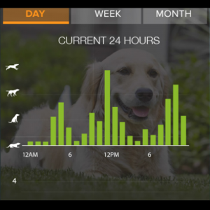 SmartFence systeem DogWatch op uw mobiel