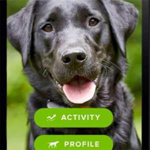 SmartFence systeem verbinding via mobiel